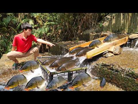 A 15 day journey Young Lam fishes in a natural stream and