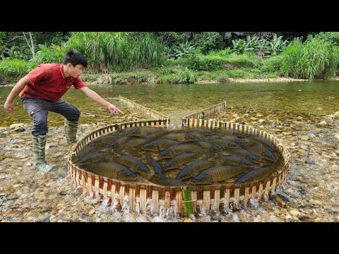 The boy used bamboo to make a fish trap in the stream and