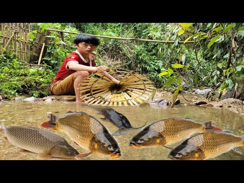 wandering boy weaving a bamboo basket caught a large school