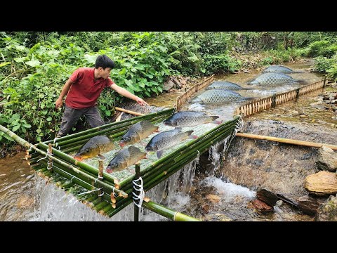 The boy fished using the ancient method Luckily caught a