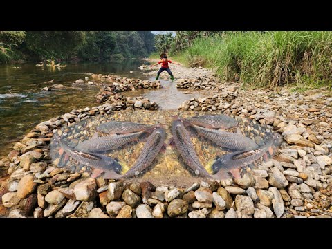 The boy cleverly arranged stones in the stream to make a