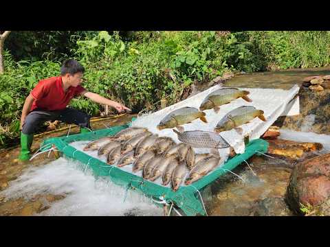 Details of 25 days of fishing in a natural stream The boy