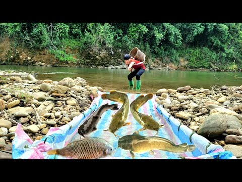 Amazing Fishing Skills Boy Makes Fish Traps in Stream