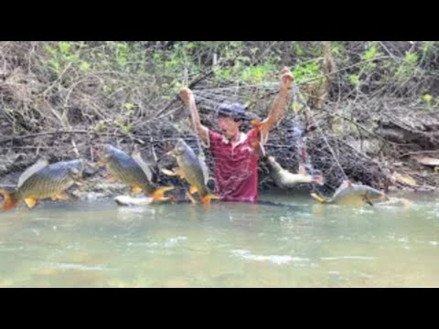The boy Lam used a net to catch fish around the stream