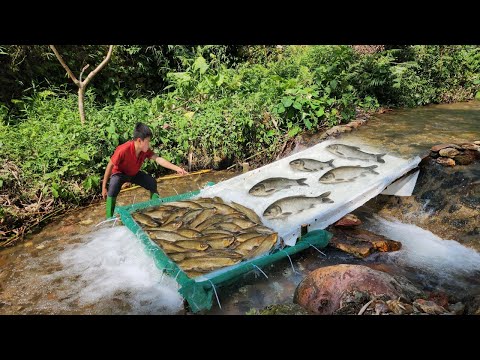 Super fishing skills Use a wooden ski to catch fish in the
