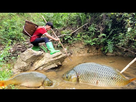 Primitive fishing skills the boy caught a super big fish