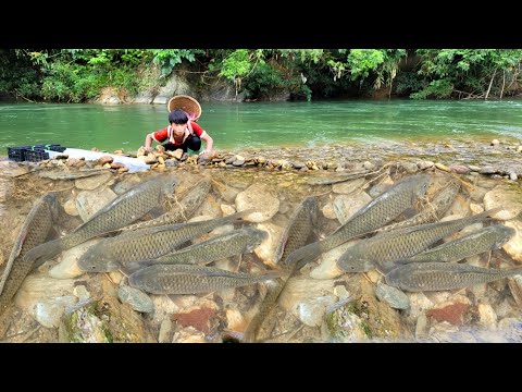 13 year old boy s new way of catching fish