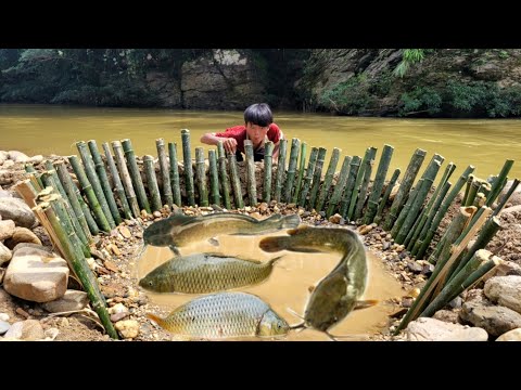 The boy created a fish trap near the stream bank catching