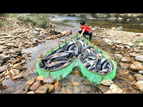 Full video about 45 days of making fish traps in streams