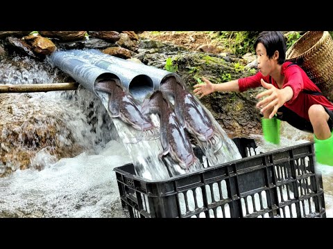 Full video 120 days boy makes fish trap with plastic pipe