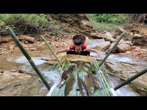 The boy used bamboo to make a trap to catch fish in the