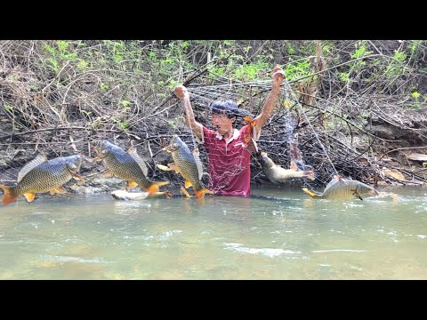 The boy went to cast his net in the big stream and caught