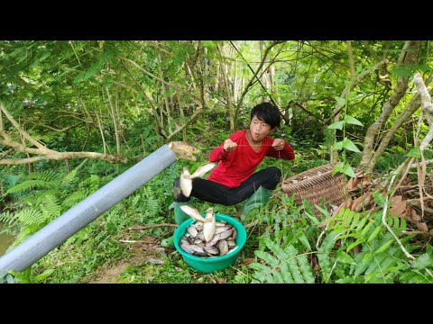 Lam fished with PVC pipe and unexpectedly caught a lot of