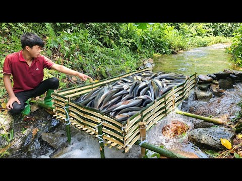 The talented boy made a bamboo fish trap himself and caught