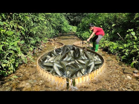 Full video 28 days boy Lam shows his fishing skills in the