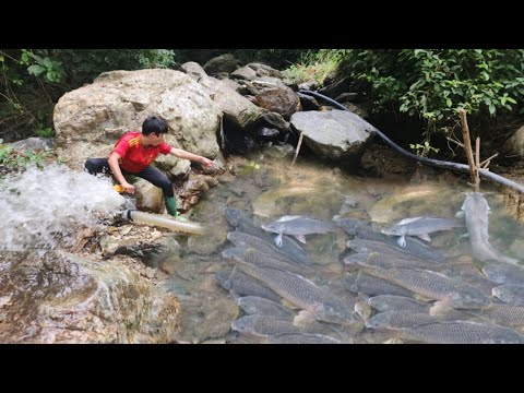 Fishing techniques Catching fish with a pump Boy Lam