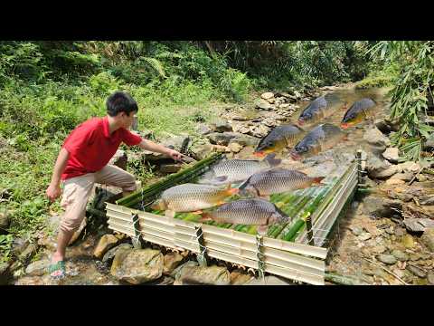 How to Make a Simple Fish Trap from Bamboo The boy