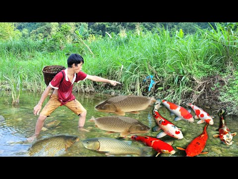The boy used stones to block the stream to catch fish in a