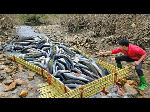 The boy used bamboo to make a fish trap in the stream and