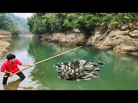 The boy used a net to catch fish Unexpectedly caught a lot