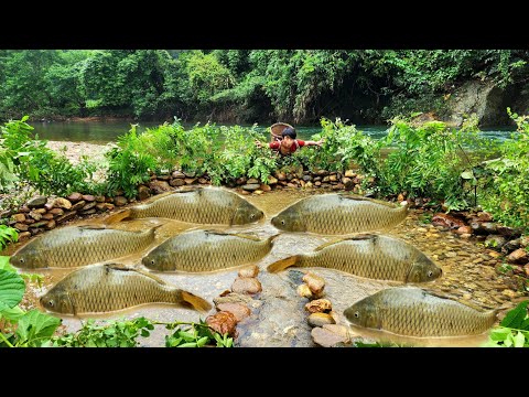 Lam skillfully arranged rocks to form a trap near the