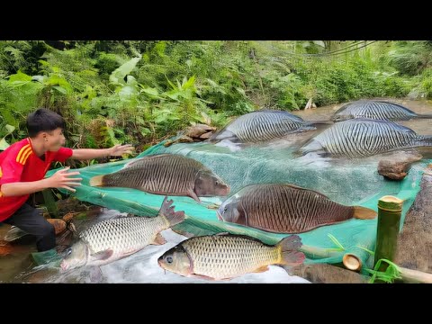 Simple method of catching fish in streams Unexpectedly