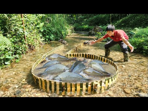 Boy makes bamboo fish trap Forms a number 6 to catch fish