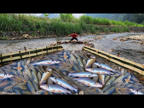 The boy Lam s unique fishing method Caught a lot of fish in