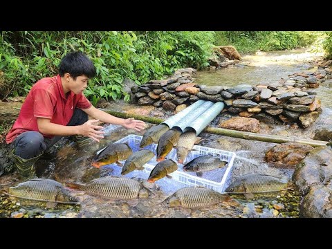 Simple and effective way to fish Use plastic pipes and