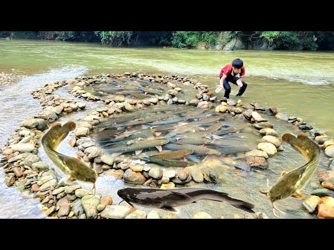 The Secret of Arranging Stones to Create Handmade Fish