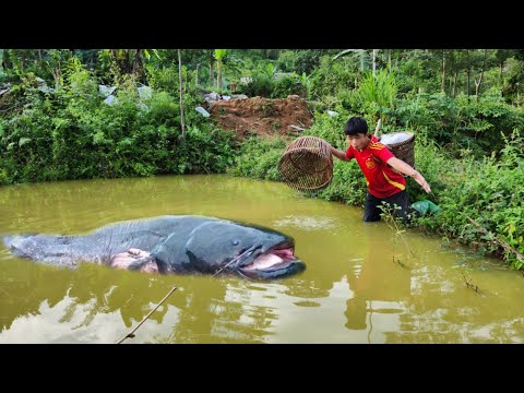 Full video of 28 days of fishing by boy Lam He caught a lot