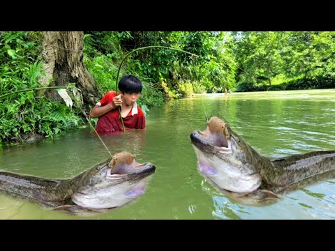 Full video of 45 days of fishing by boy Lam
