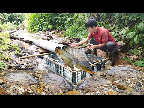 The boy used PVC pipe to make a fish trap in the stream
