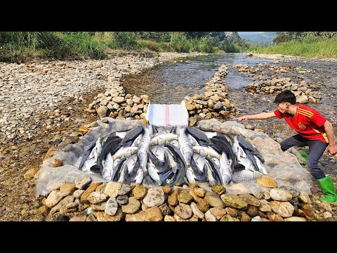 Using a wooden slide to trap fish in the stream and caught
