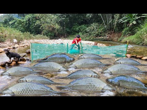 The boy Lam used a net to catch fish in a large stream and