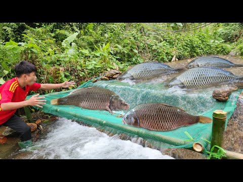 The boy used a green net to make a fish trap in the stream