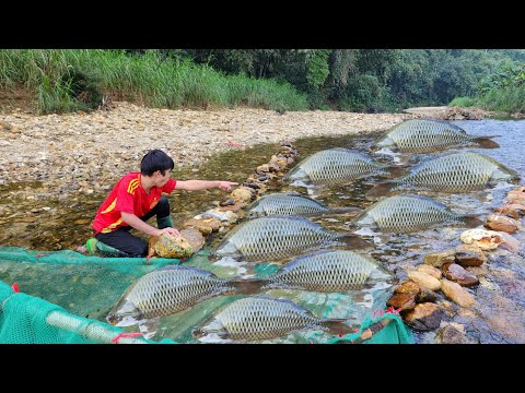 The boy Lam used an ancient fishing method in the middle of