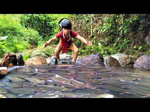 The boy wandered to the stream and caught a large school of