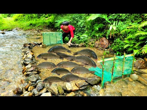 The boy arranged stones to form a fish trap next to the