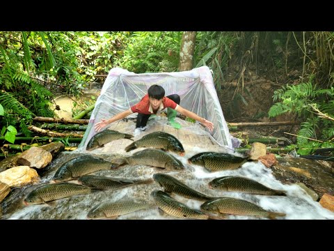 13 year old boy s skillful skill in making fish traps using