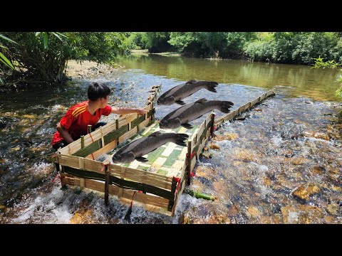 The boy made a bamboo fish trap by himself and was lucky to