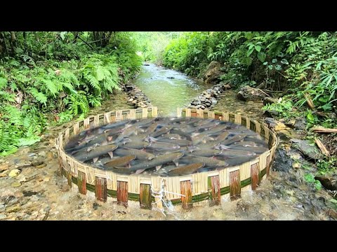 Amazing Journey The boy made a fish trap in the stream And