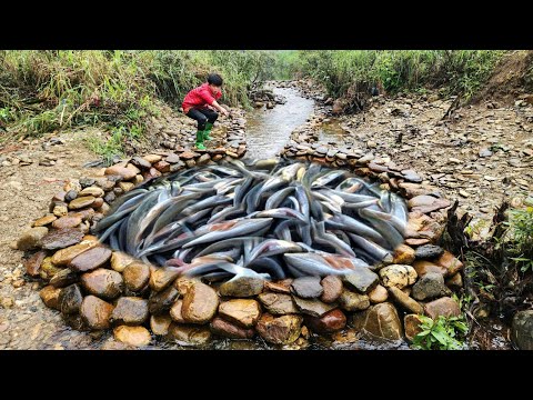 The boy arranged rocks in the stream to make a trap to