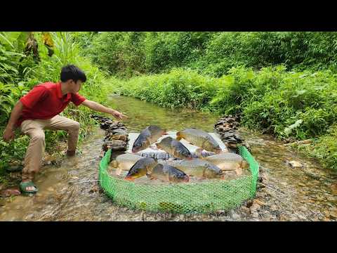 A simple fish trap placed in a small stream unexpectedly