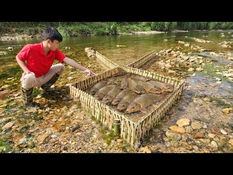 Lam s ancient fishing method of trapping fish with bamboo