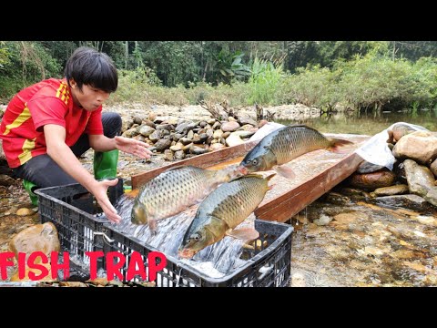 The boy made a fish trap using a skateboard and caught