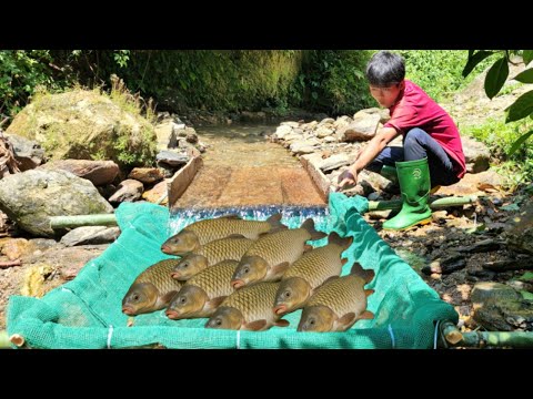 The boy s primitive fishing skills caught a lot of fish in