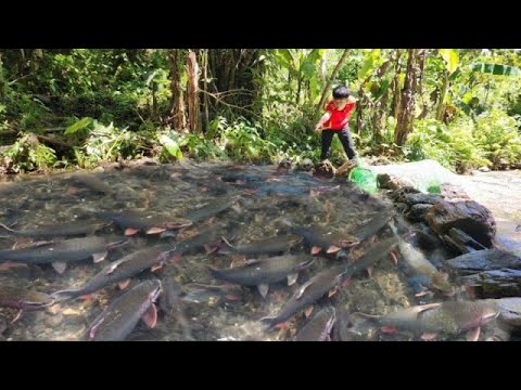 Full video of 32 days of Lam boy making fish traps in the