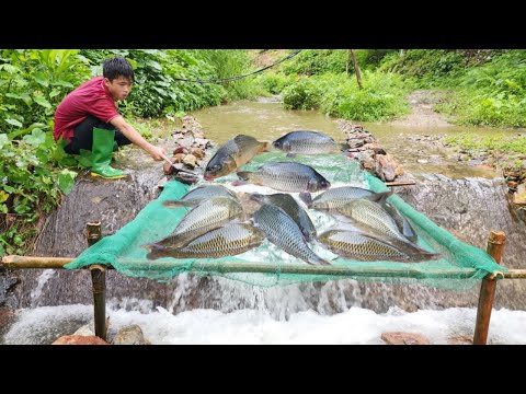 The boy Lam used bamboo and green net to make a very unique