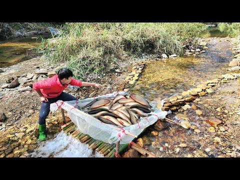The way to trap fish is simple but very effective The boy